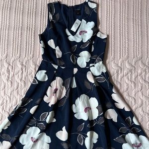 Floral A-Line Dress from Ann Taylor
